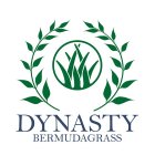 DYNASTY BERMUDAGRASS