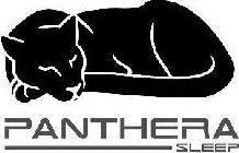 PANTHERA, SLEEP