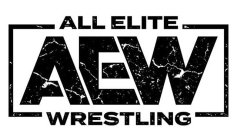 ALL ELITE AEW WRESTLING