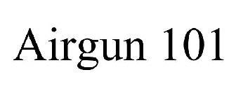 AIRGUN 101