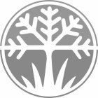 Image Trademark