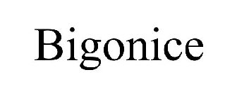 BIGONICE