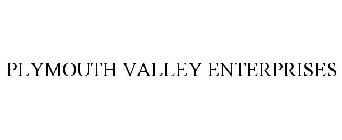 PLYMOUTH VALLEY ENTERPRISES