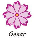 GESAR