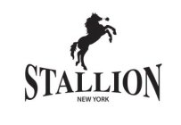 STALLION NEW YORK