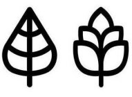 Image Trademark