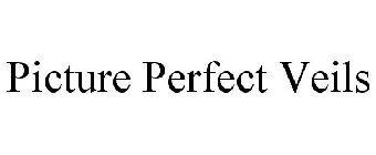 PICTURE PERFECT VEILS