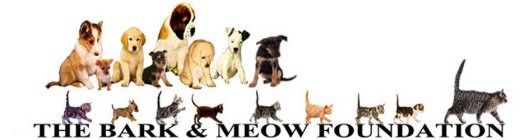 THE BARK & MEOW FOUNDATION