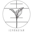 ICMONSTAR