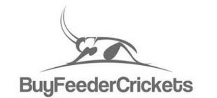 BUYFEEDERCRICKETS