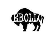 EBOLLO