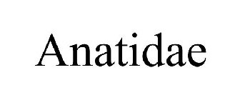 ANATIDAE