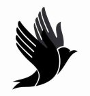 Image Trademark
