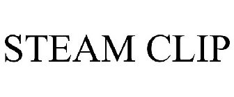 STEAMCLIP