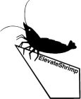 ELEVATESHRIMP