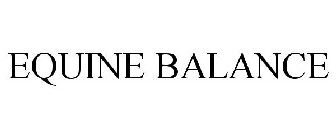 EQUINE BALANCE