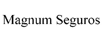 MAGNUM SEGUROS