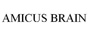 AMICUS BRAIN