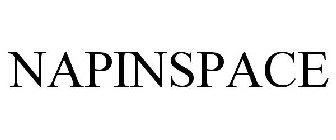 NAPINSPACE