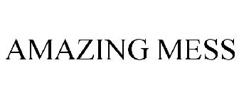 AMAZING MESS