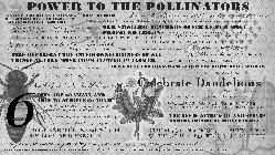 POWER TO THE POLLINATORS NATIVE AMERICAN INDIANS.. BEE DIE MAN HAS FOUR YEARS LEFT.. ALBERT EINSTEIN ECHOED THIS 