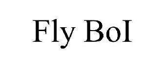 FLY BOI