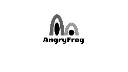 ANGRYFROG