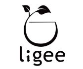 LIGEE