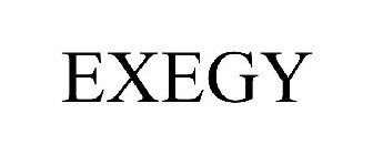 EXEGY