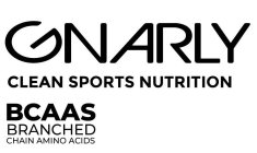 GNARLY CLEAN SPORTS NUTRITION BCAAS BRANCHED CHAIN AMINO ACIDS