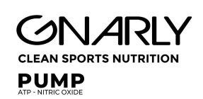 GNARLY CLEAN SPORTS NUTRITION PUMP ATP NITRIC OXIDE