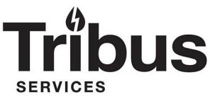 TRIBUS SERVICES