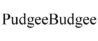PUDGEEBUDGEE