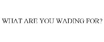 WHAT ARE YOU WADING FOR?