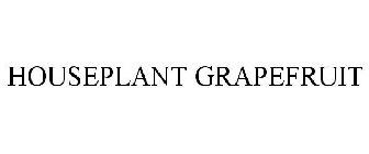 HOUSEPLANT GRAPEFRUIT