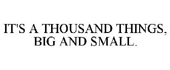 IT'S A THOUSAND THINGS, BIG AND SMALL.