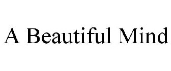 A BEAUTIFUL MIND