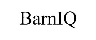 BARNIQ