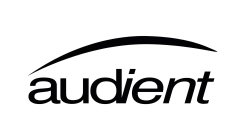 AUDIENT