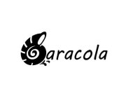 CARACOLA