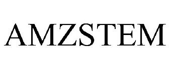 AMZSTEM