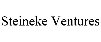 STEINEKE VENTURES