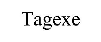 TAGEXE