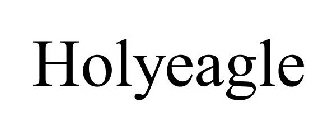 HOLYEAGLE