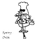 SPRING- CHICK