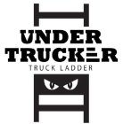 UNDER TRUCKER TRUCK LADDER