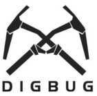 DIGBUG