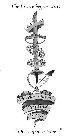 WARRIOR QUEENS' PRINTING PRESS THE FUTURE BEGINS WITH 