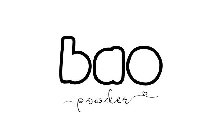 BAO POWDER