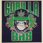 GORILLA GAS